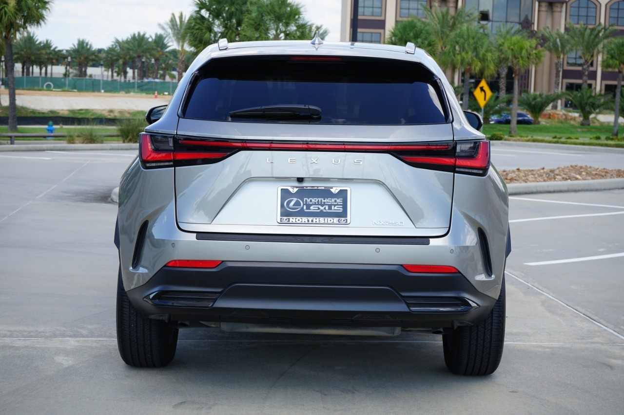 2024 Lexus NX 250 Premium photo 5