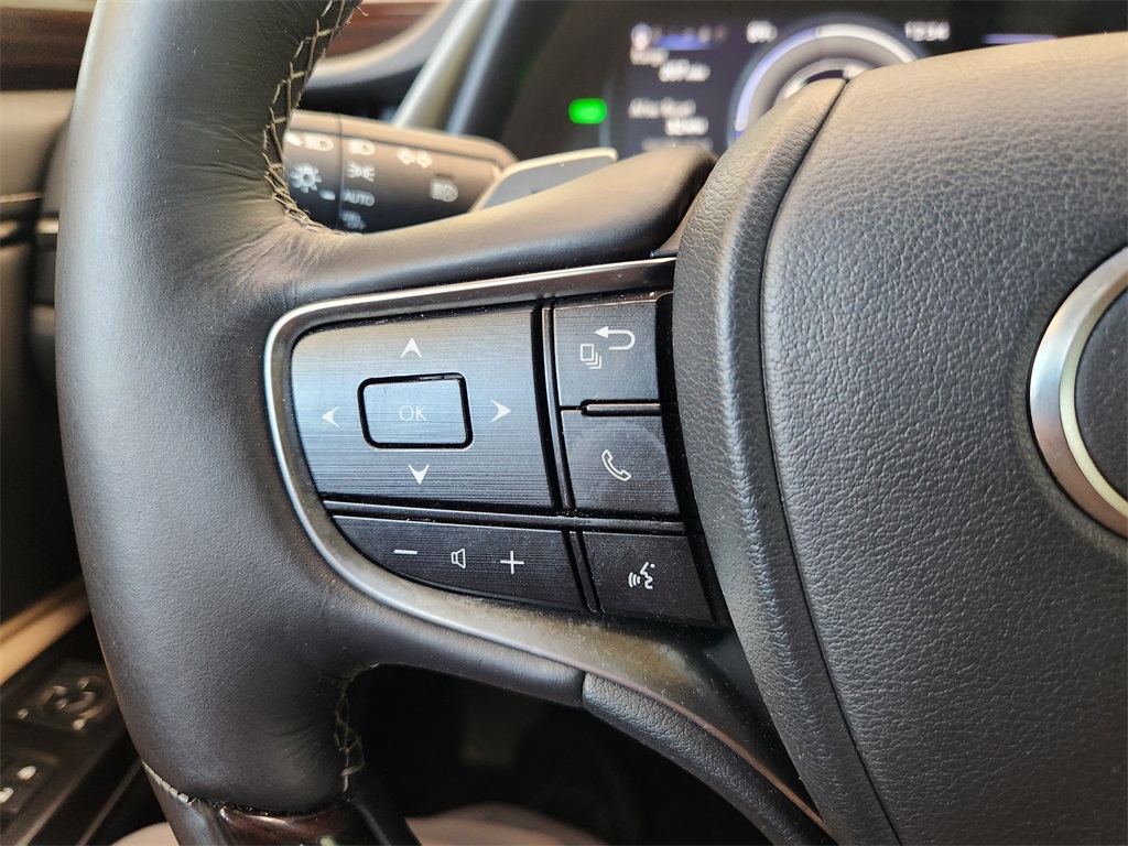 2019 Lexus ES 300h photo 22