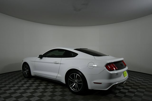 2016 Ford Mustang EcoBoost photo 13