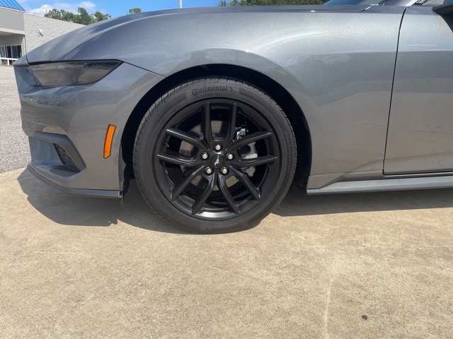 2025 Ford Mustang EcoBoost Premium photo 4