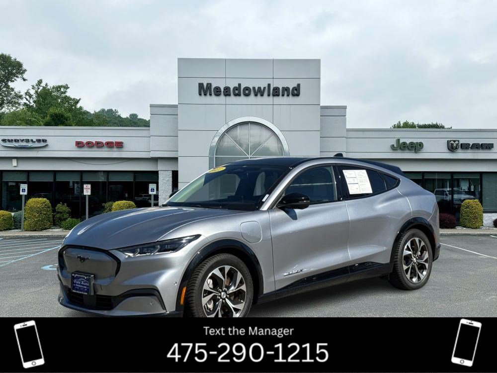 2021 Ford Mustang Mach-E Premium AWD's photo