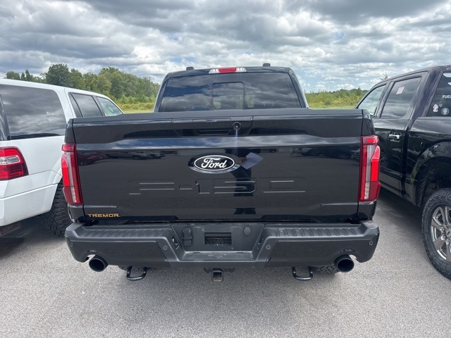 2024 Ford F-150 Tremor photo 11