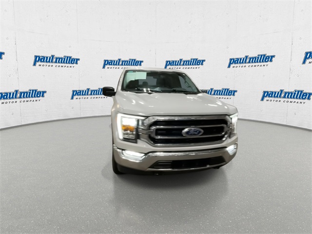 2023 Ford F-150 XLT photo 2