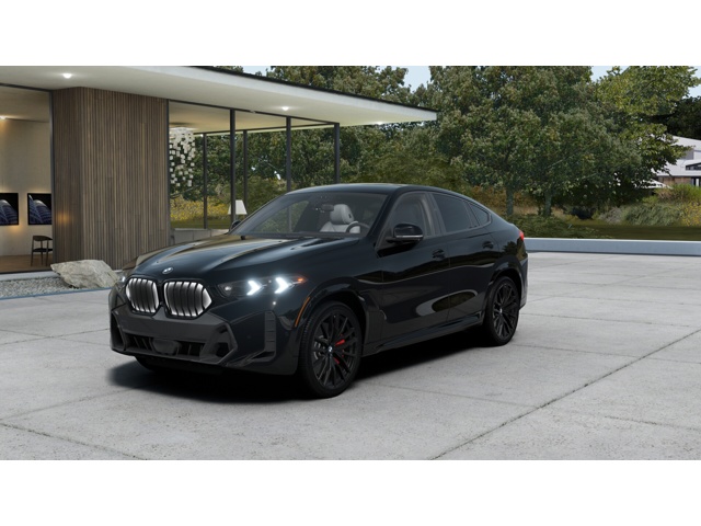 2026 BMW X6