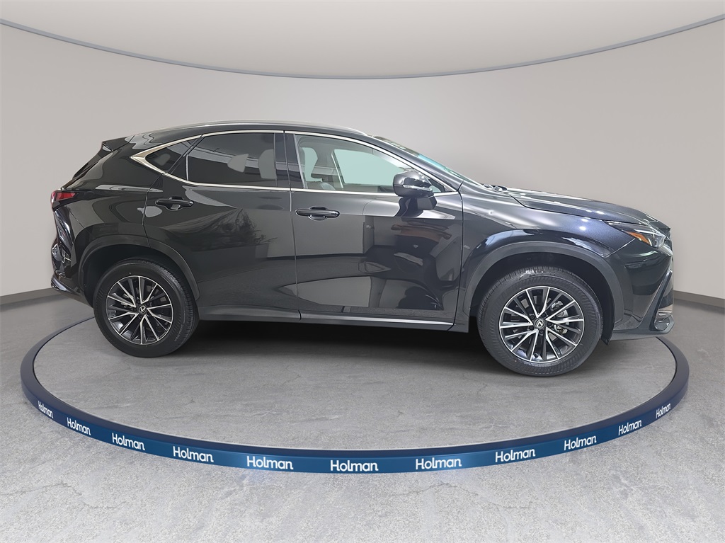 2024 Lexus NX 350h photo 4