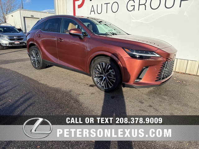 2023 Lexus RX 350's photo