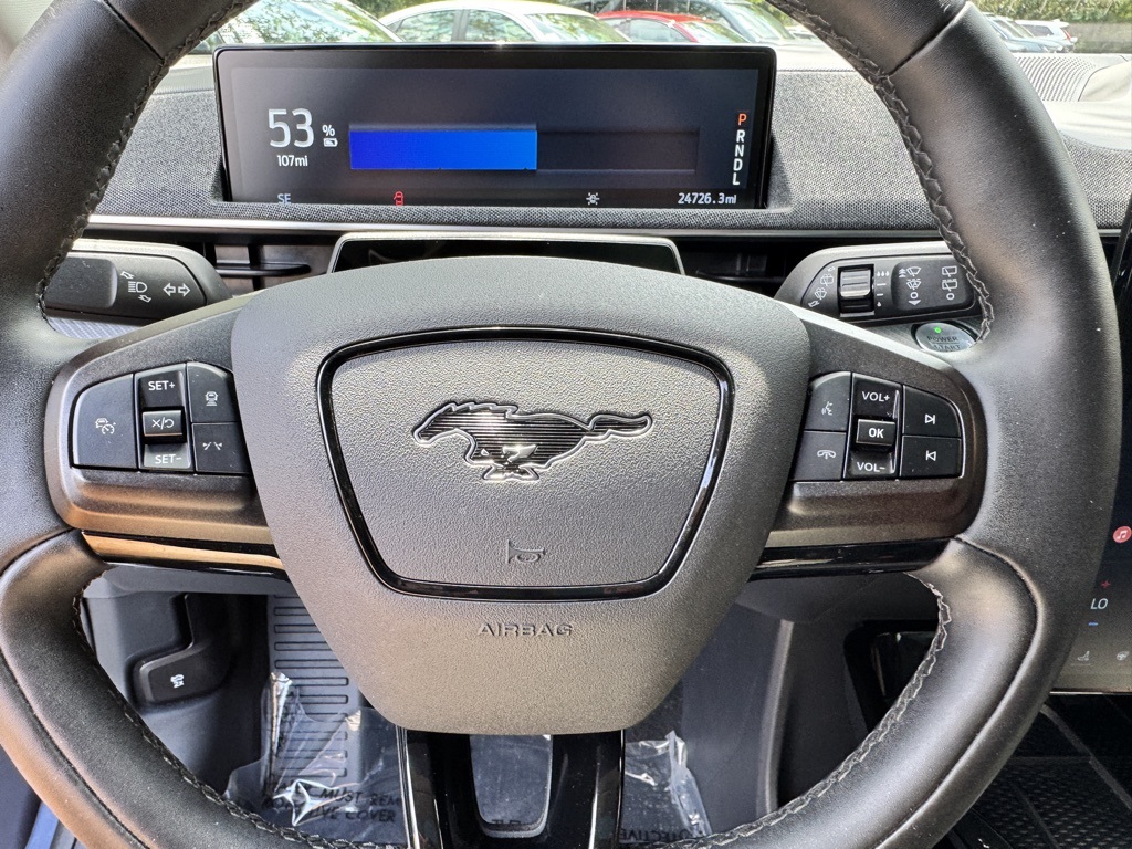 2021 Ford Mustang Mach-E Premium photo 18