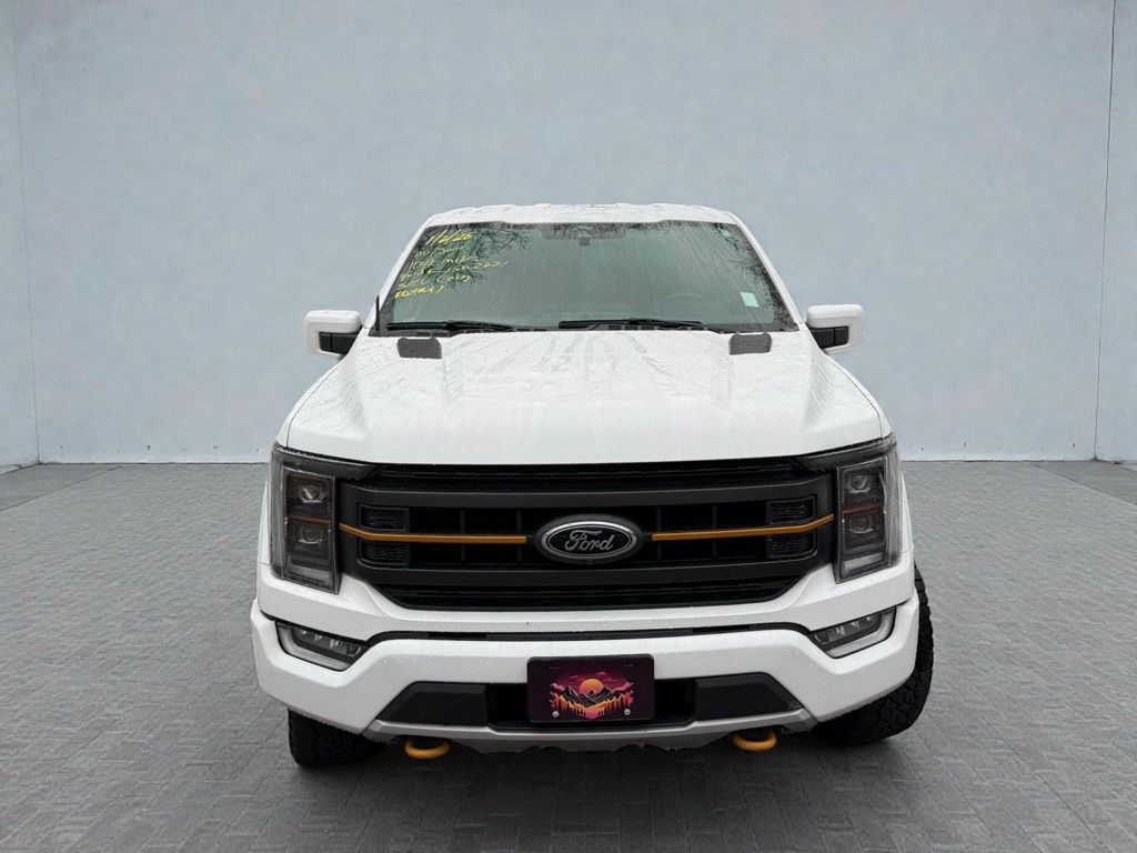 2021 Ford F-150 Tremor's photo