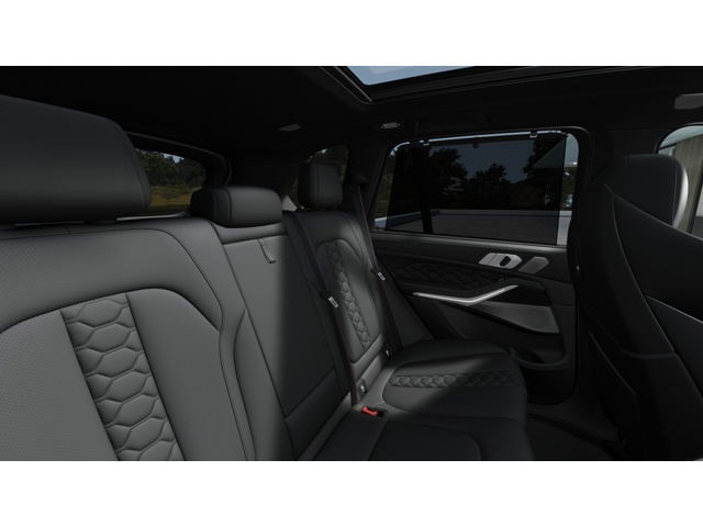 2026 Bmw X5 photo 10