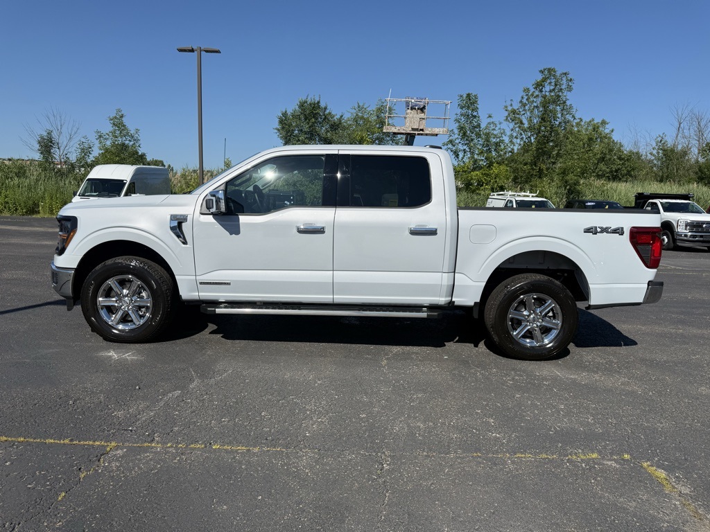 2025 Ford F-150 XLT photo 12