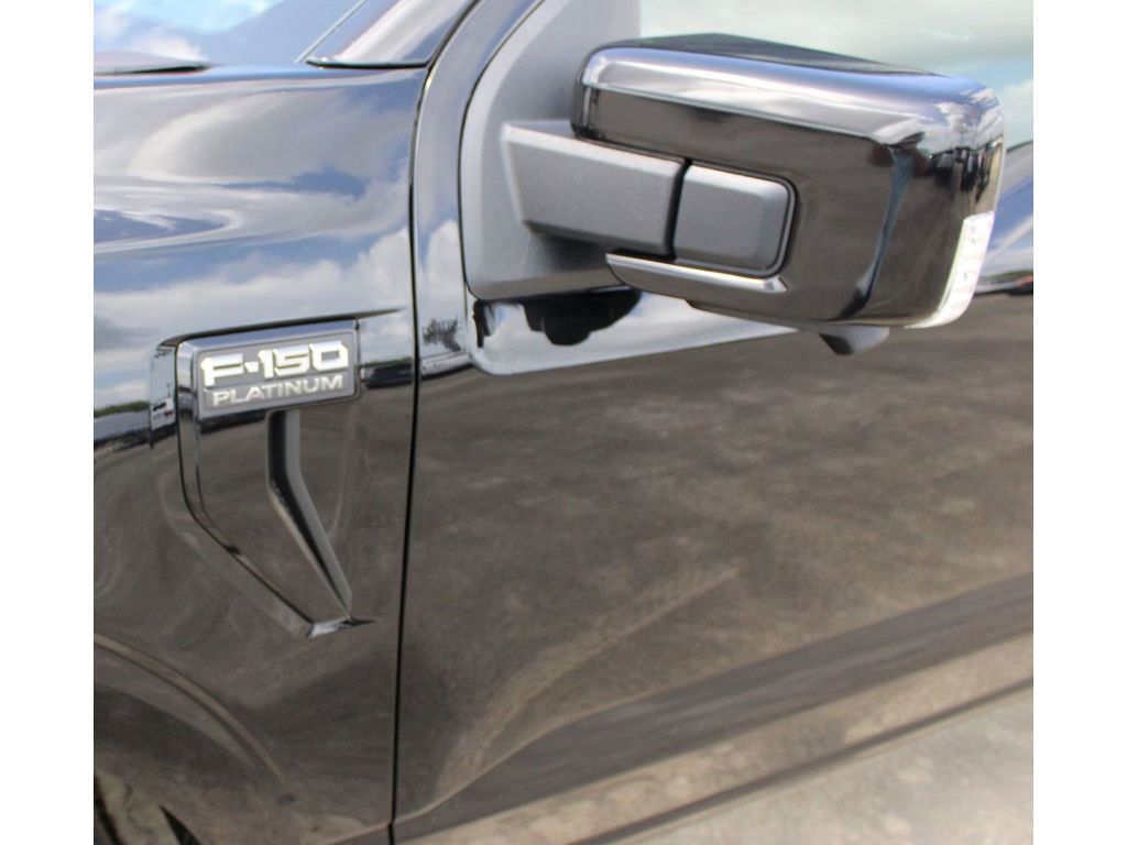 2025 Ford F-150 Platinum photo 3