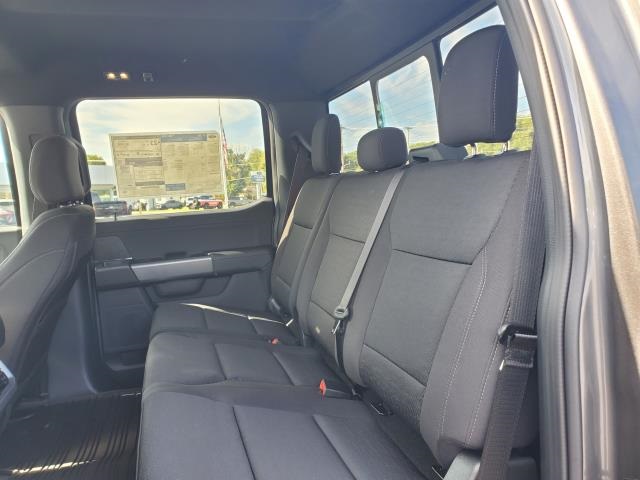 2025 Ford F-150 XLT photo 8