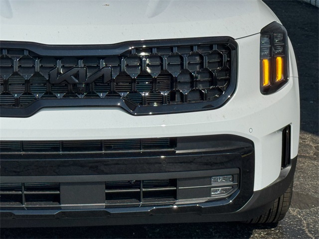2025 Kia Telluride SX X-Line photo 10