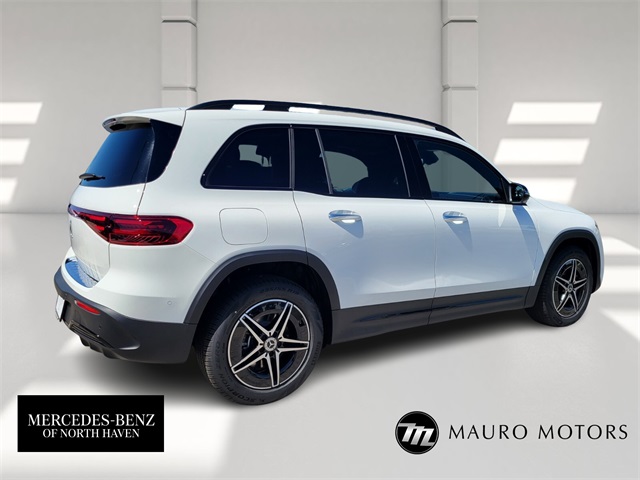 2024 Mercedes Benz EQB photo 2
