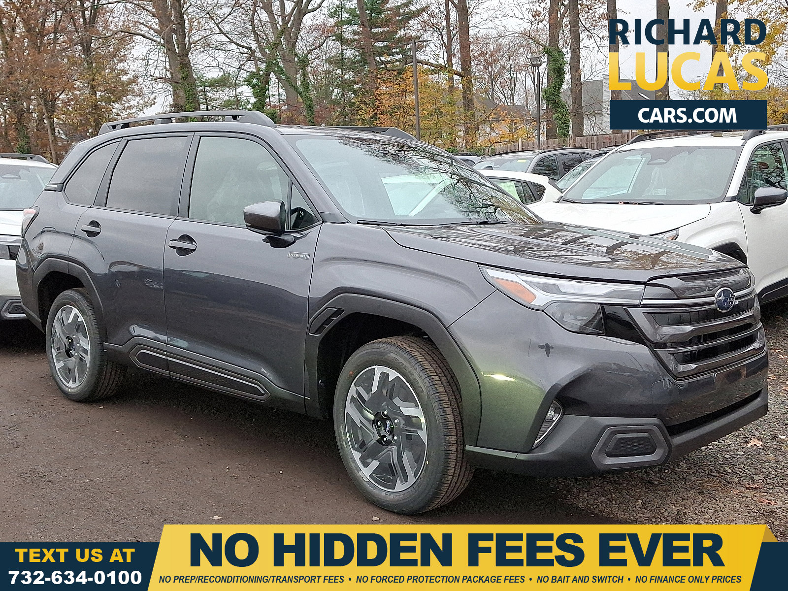 2025 Subaru Forester Limited's photo