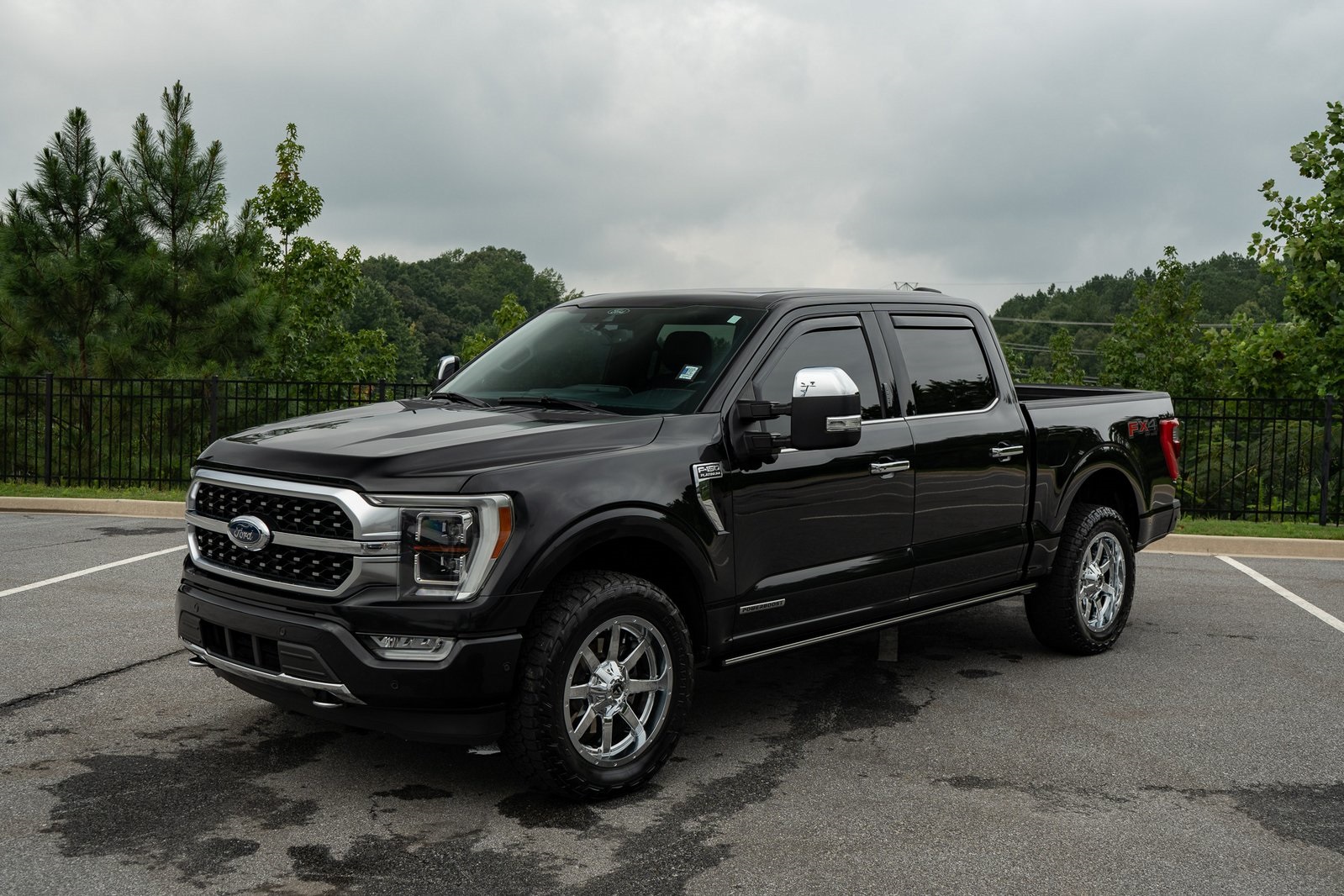 2021 Ford F-150 Platinum photo 3
