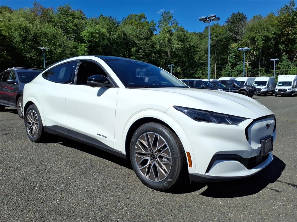 2025 Ford Mustang Mach-E Premium AWD's photo