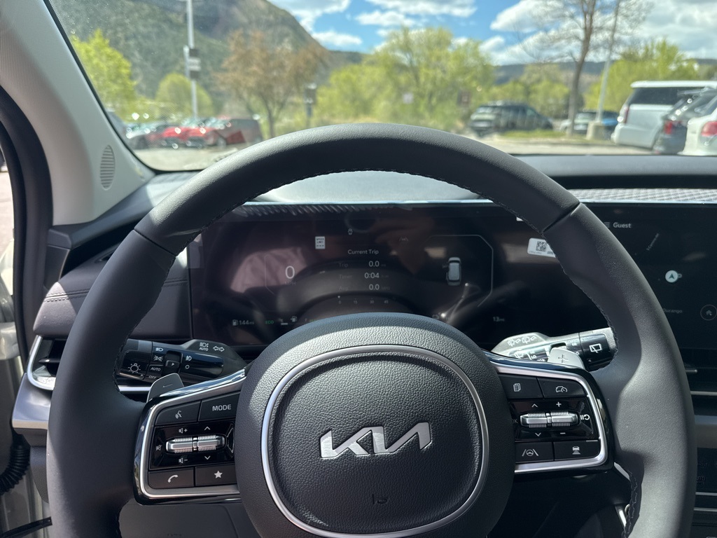 2025 Kia Carnival SX photo 10