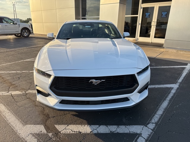 2025 Ford Mustang EcoBoost photo 9