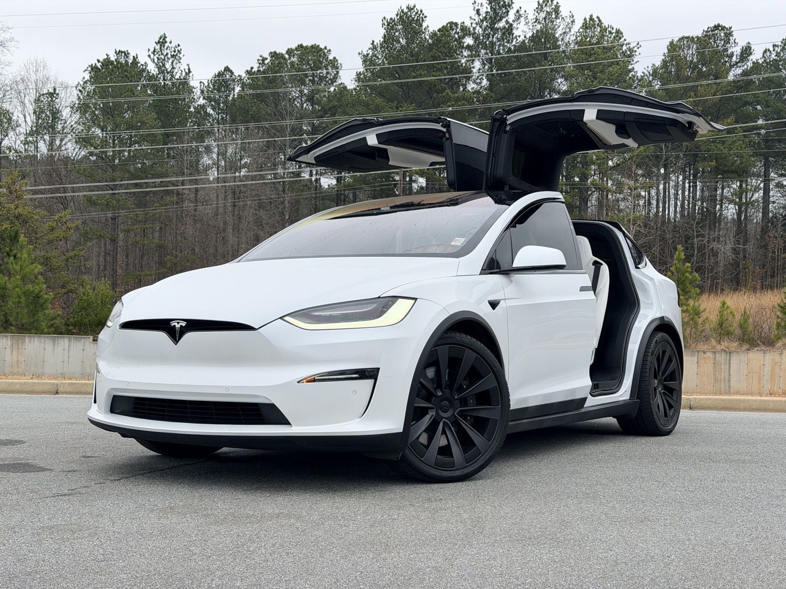 2022 Tesla Model X Plaid's photo