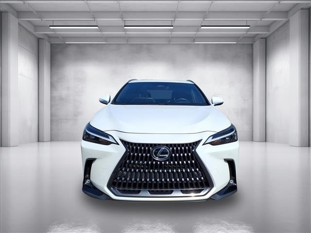 2024 Lexus NX 250 Premium photo 8