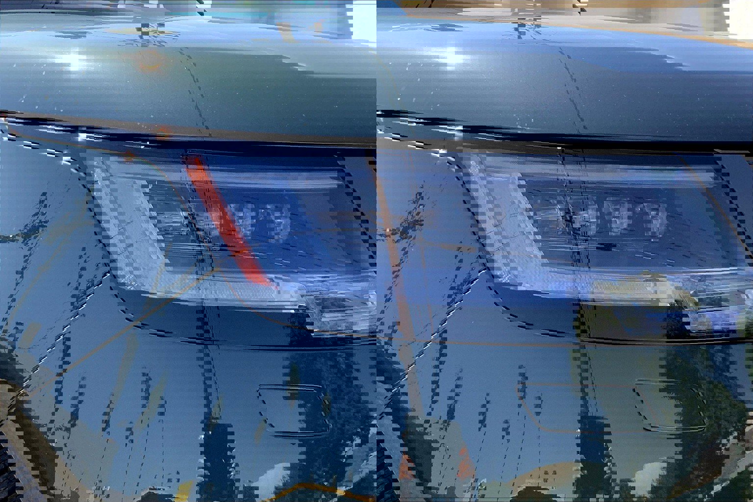 2025 Land Rover Range Rover SE photo 14