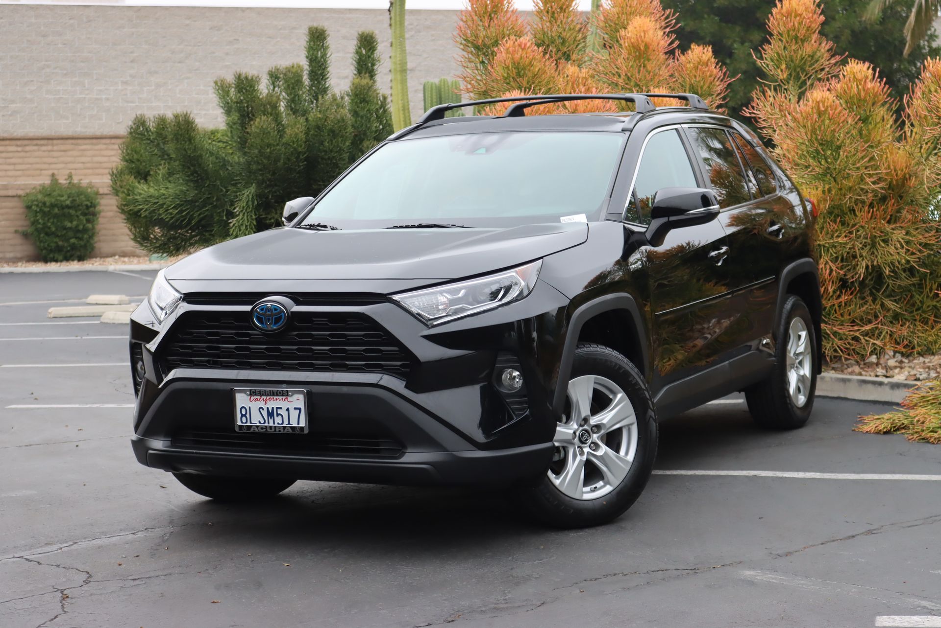 2019 Toyota RAV4 XLE's photo