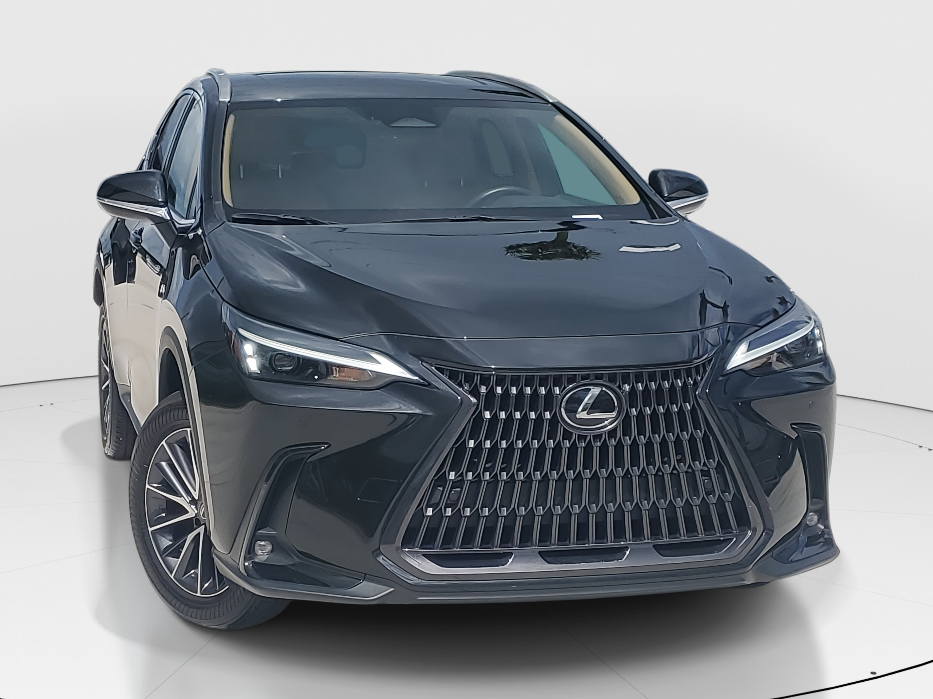 2023 Lexus NX 350 Premium photo 2