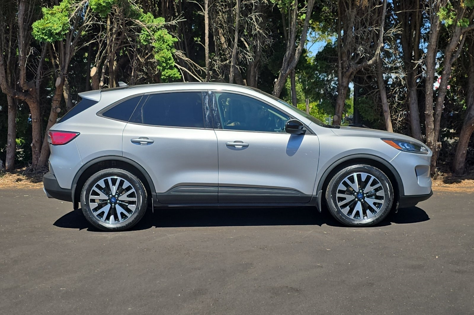 2020 Ford Escape SE Sport Hybrid photo 3