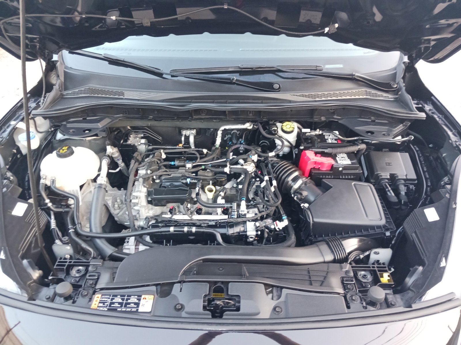 2022 Ford Escape SE photo 16