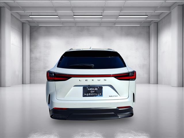2025 Lexus NX 250 photo 3