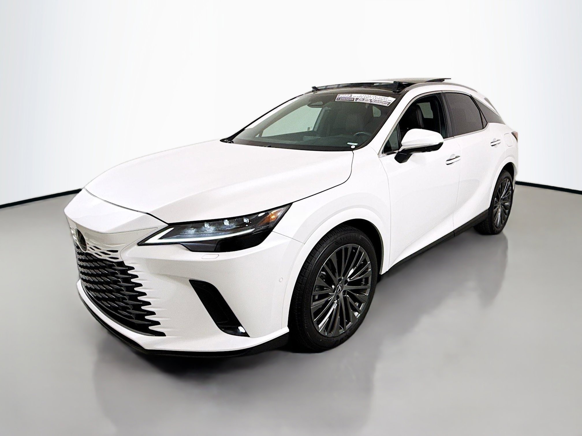 2023 Lexus RX 350 Luxury photo 3