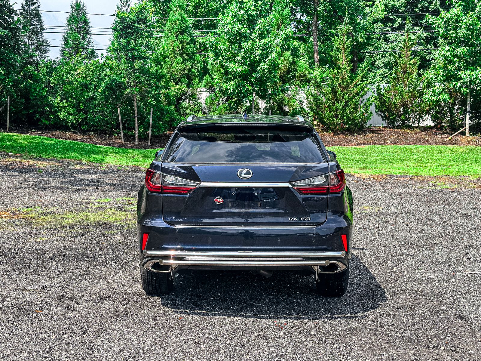 2019 Lexus RX 350 photo 5