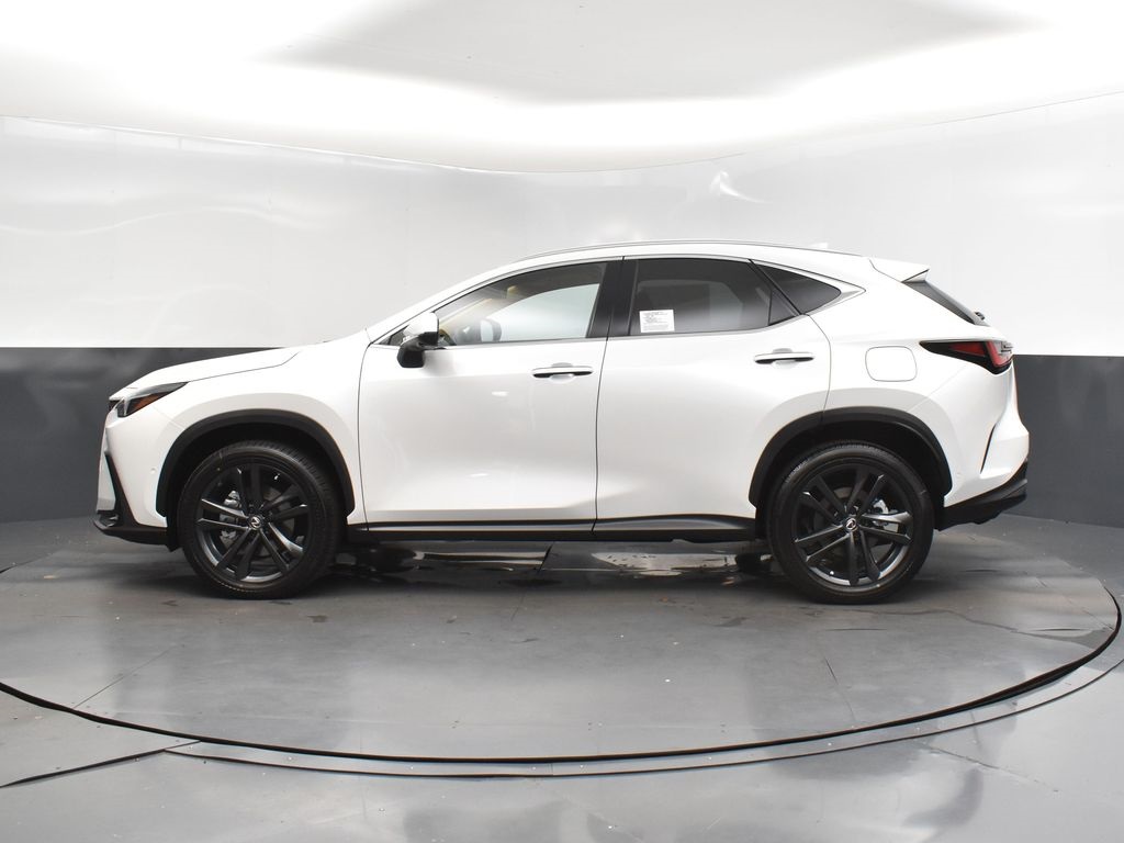 2025 Lexus NX 450h+ Luxury AWD photo 4