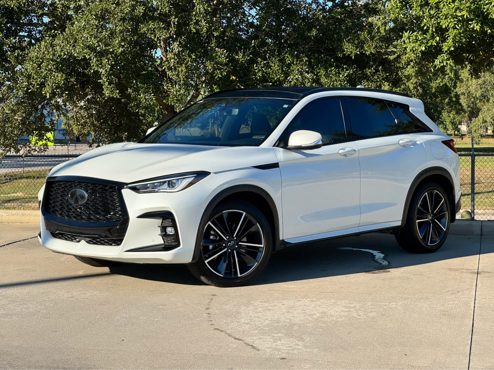 2025 INFINITI QX50 Sport's photo