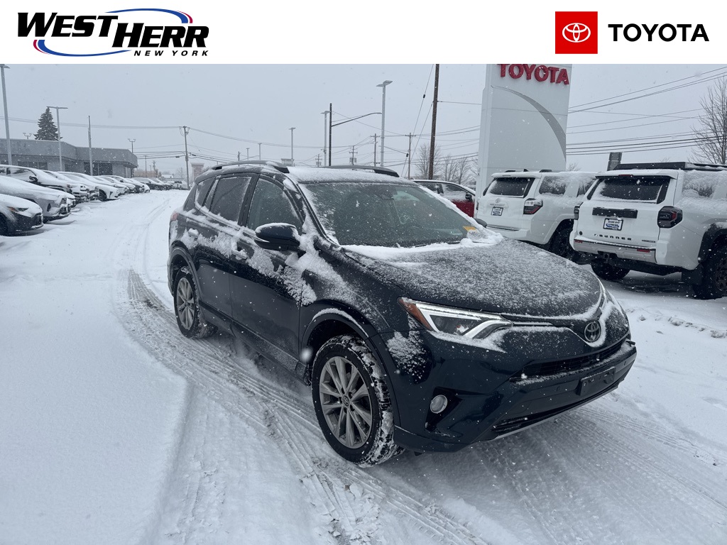 2017 Toyota RAV4 Platinum's photo