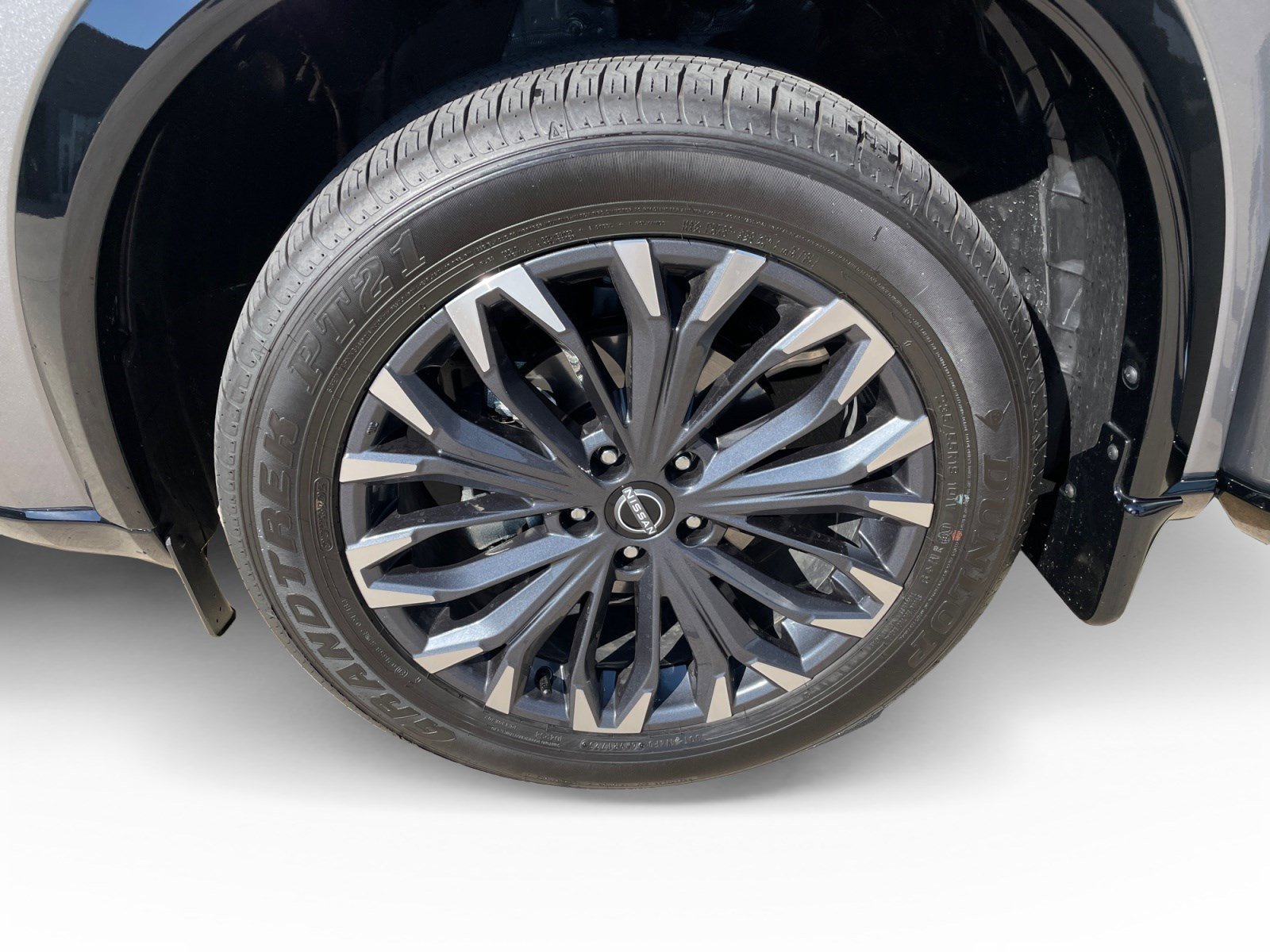 2025 Nissan Rogue Platinum photo 12