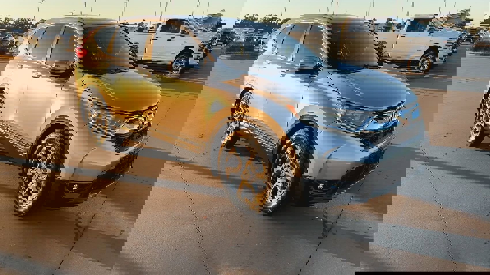 2019 Honda CR-V EX photo 3