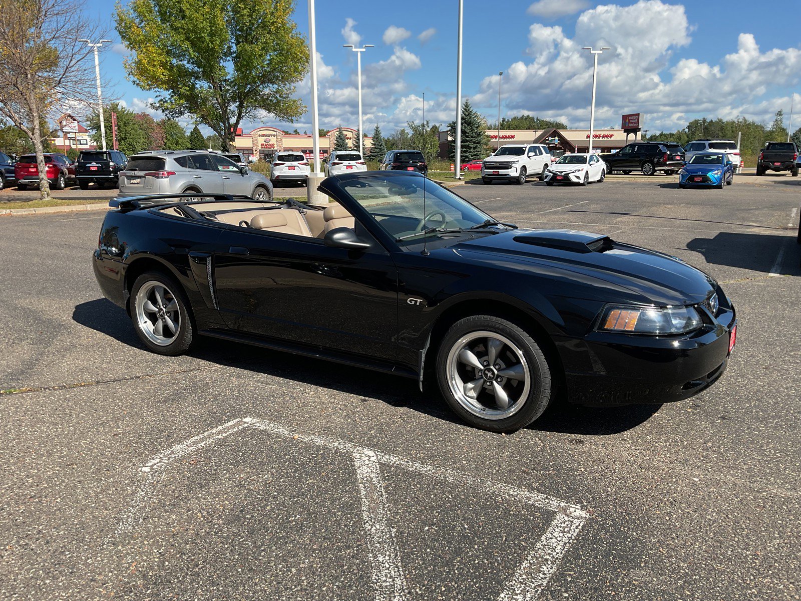 2002 Ford Mustang GT photo 12