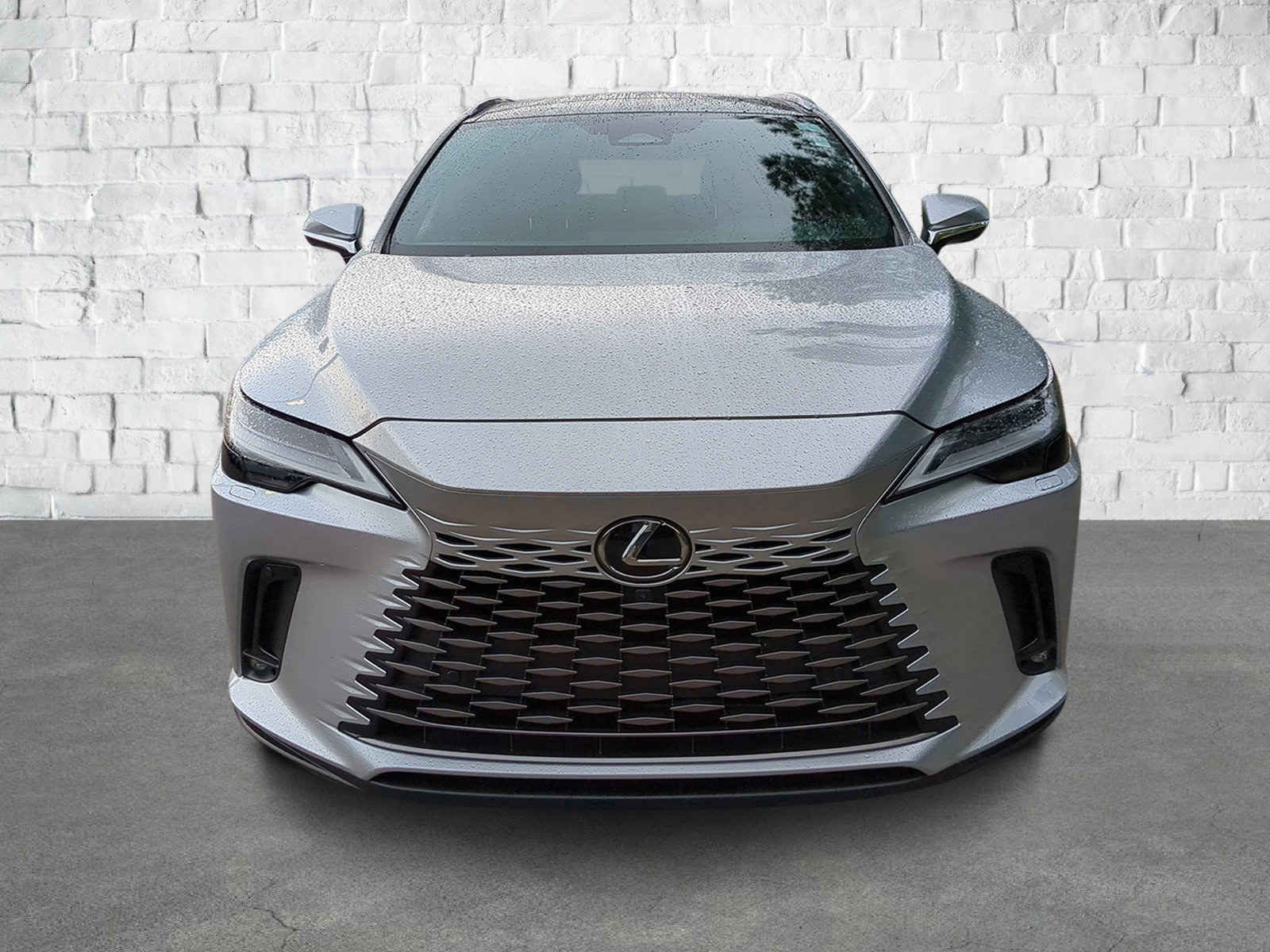 2023 Lexus RX 350 Premium photo 2