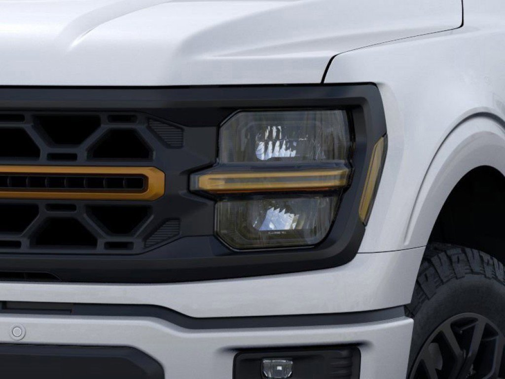 2025 Ford F-150 Tremor photo 16
