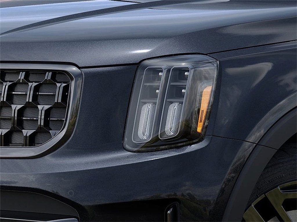 2025 Kia Telluride X-Line photo 10