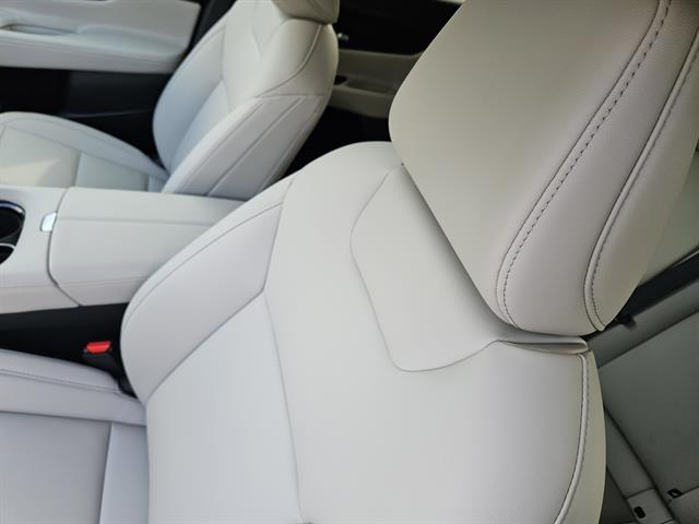 2025 Nissan Murano SL photo 11