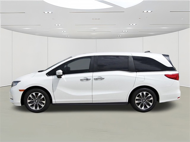 2024 Honda Odyssey EX-L photo 7