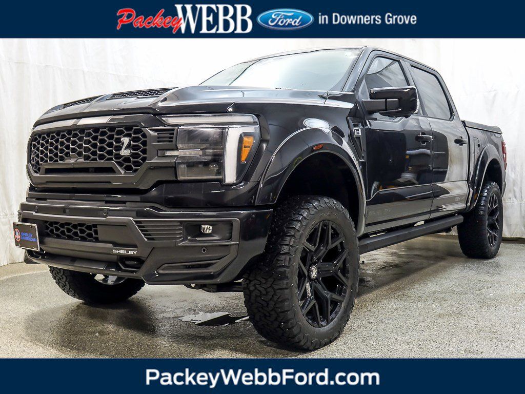 2025 FORD F-150 - Image 1