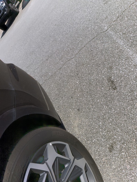 2022 Hyundai Palisade Calligraphy photo 12