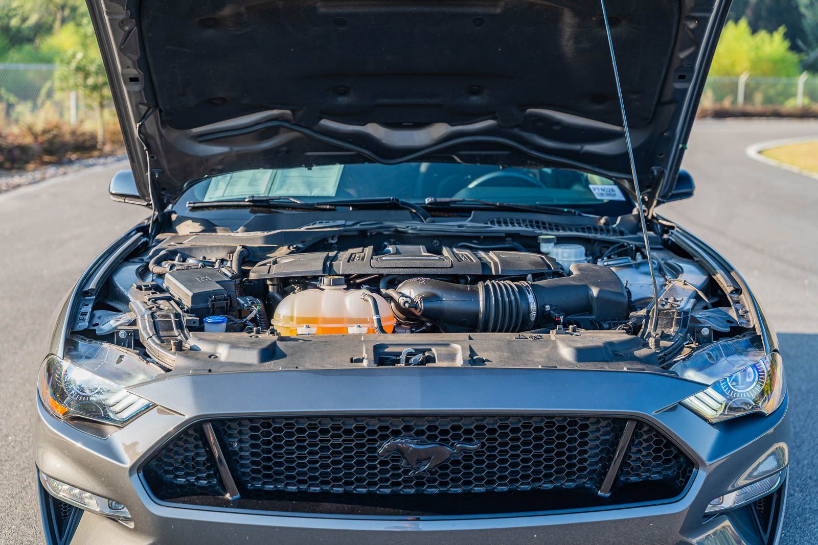 2021 Ford Mustang GT photo 20