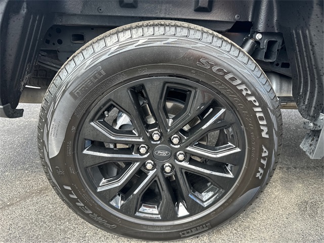 2024 Ford F-150 XLT photo 10