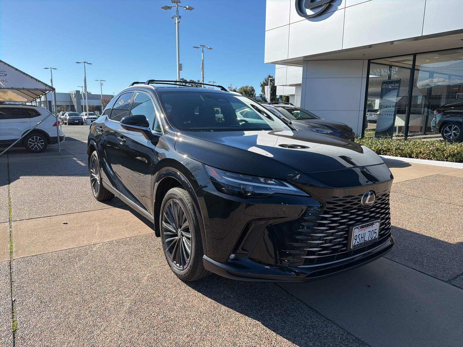 2025 Lexus RX Hybrid 350h's photo