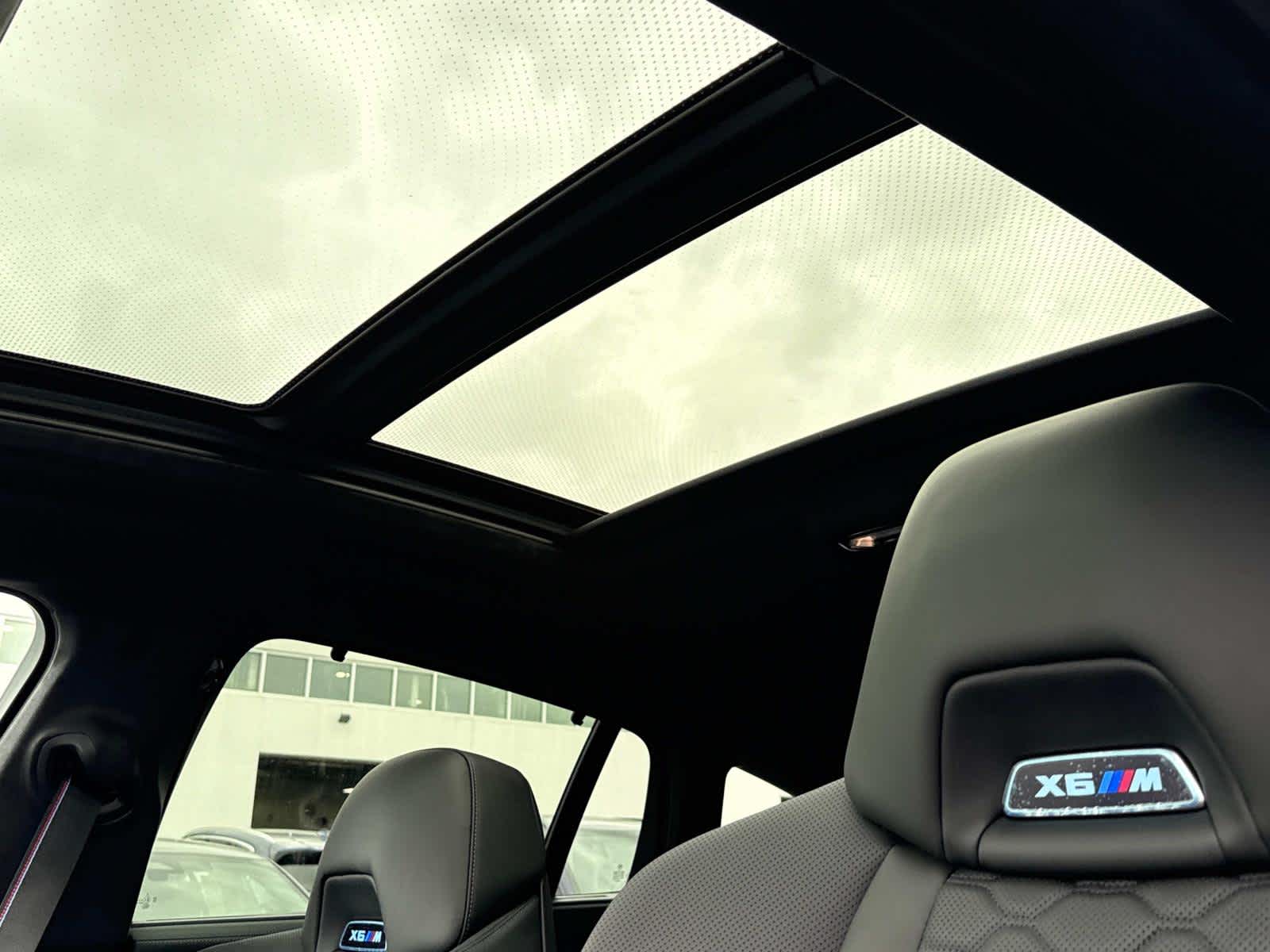 2026 Bmw X6 photo 4